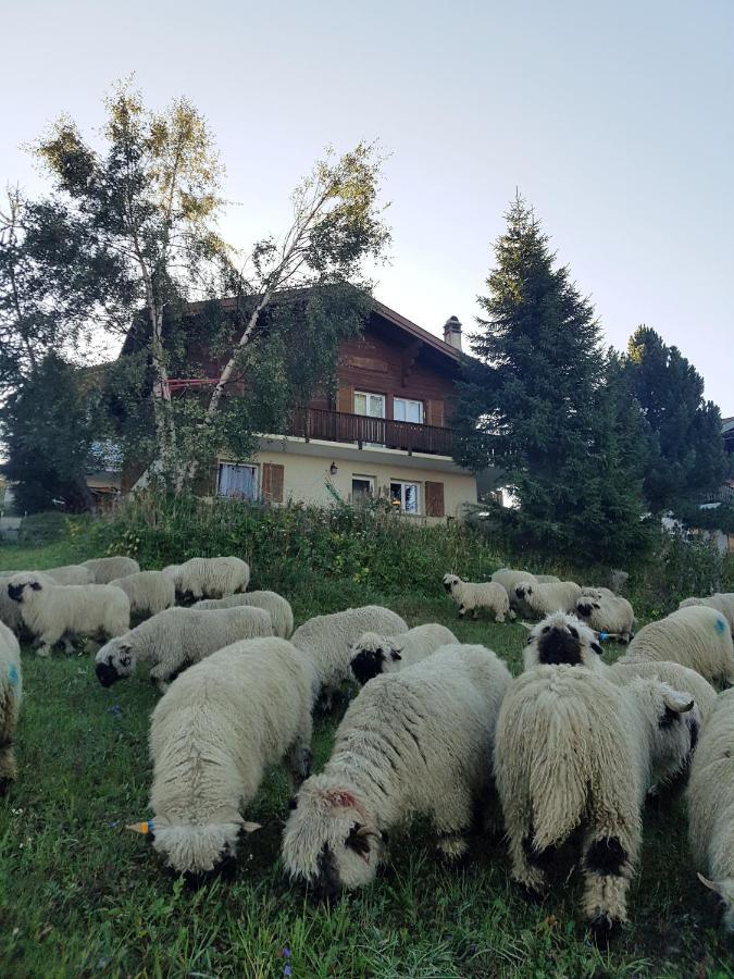 Chalet Bietschhorn Rosswald Termen Exterior photo